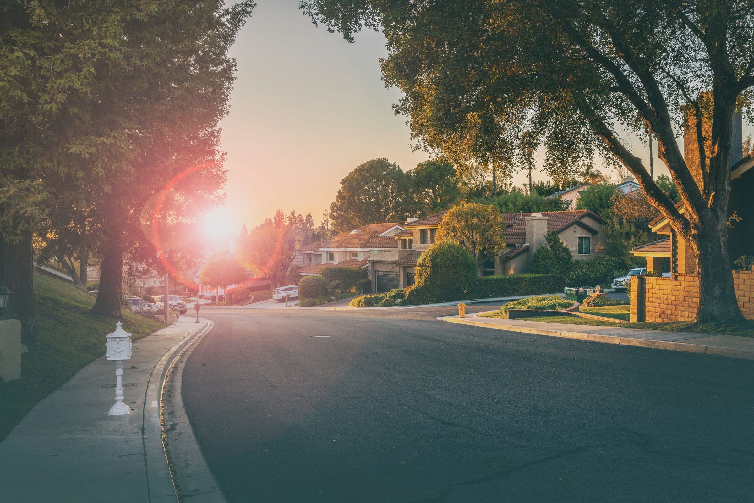 A quiet tree-lined residential street with homes at sunset.