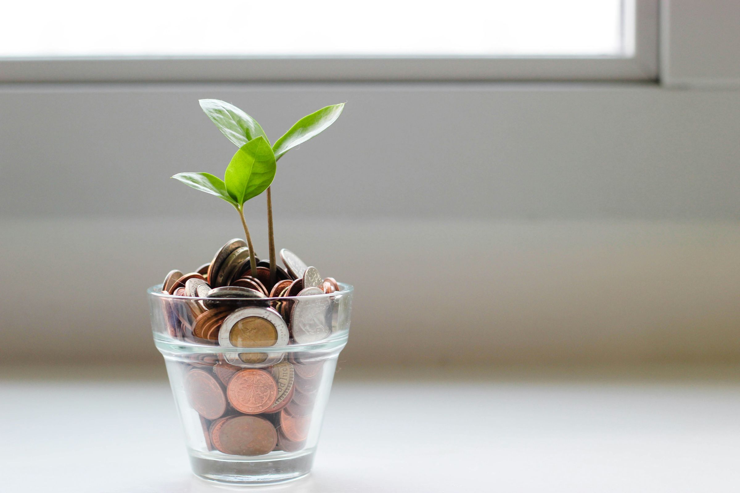 A green sprout growing from a glass jar of coins