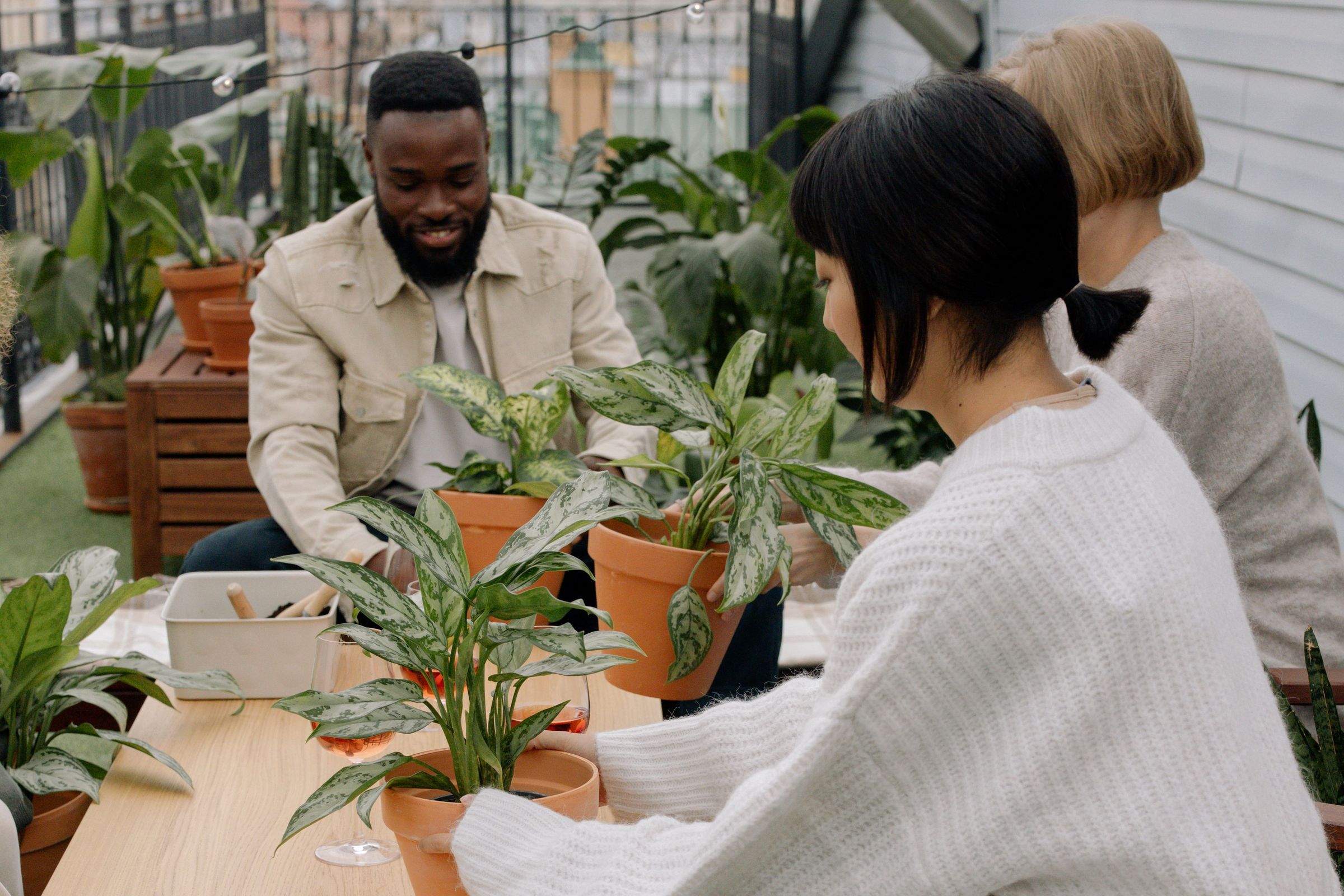 Adults working together at a table, potting plants.